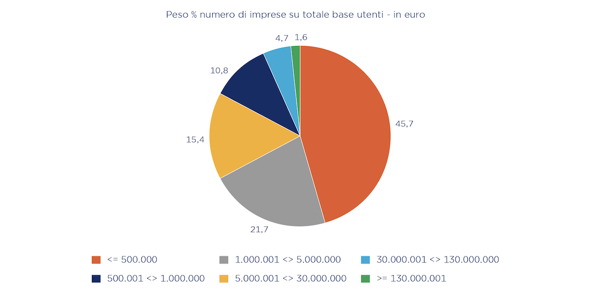 peso percentuale del numero di imprese su totale base utenti per fatturato: fino a 500 mila eur 45,7%, da 500.001 a 1 milione eur 10,8%, da 1 a 5 milioni eur 21,7%, da 5 a 30 milioni eur 15,4%, da 30 a 130 milioni eur 4,7%, oltre 130 milioni eur 1,6%